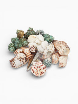 Набор ракушек «Пижон Аква», 200 г, микс №1