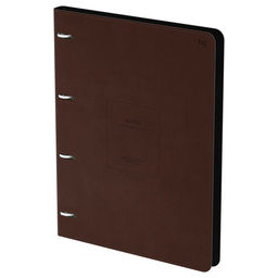 Тетрадь 120л. на кольцах "Моно. Коричневый", сменный блок (N4r120 66417, "BG") обложка иск. кожа