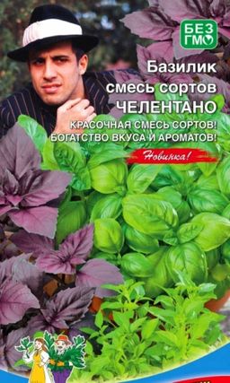 Базилик ЧЕЛЕНТАНО