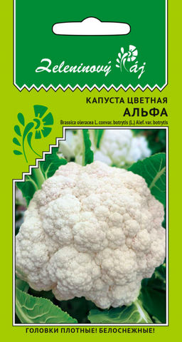 Капуста цветная АЛЬФА  Хороша для заморозки! Надёжная! Головки плотные, белоснежные, массой до 1,2 кг! - Уральский дачник фото 3
