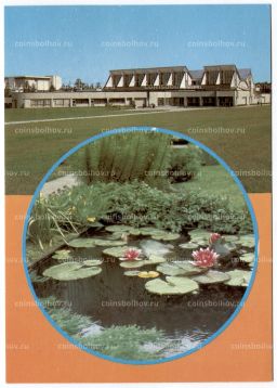 Открытка Паланга Лечебный комплекс объединения межколхозных здравниц Линас