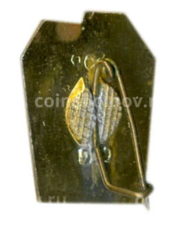 Значок Севастополь