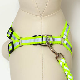 Комплект Плетенка, флуоресцентный, поводок 115 х 1 см, ОГ 32-48 х 1,5 см, зелёный - Пижон фото 5