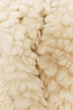 FAUX SHEARLING JACKET ZW COLLECTION - Zara фото 7