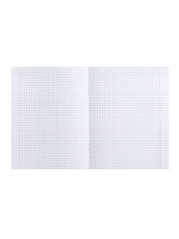 Цена за 5 шт. Тетрадь предметная 48 листов в клетку Calligrata «Животные. Информатика», обложка мелованный картон