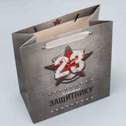 Цена за 2 шт. Пакет подарочный ламинированный, упаковка, «С 23 февраля», MS 18×23×10 см