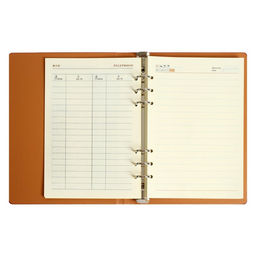 Органайзер на кольцах Престиж А5, 92 листа, в линейку, обложка кожзам, МИКС - Calligrata фото 6