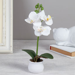 Цветочная композиция Орхидея 22 см / LM-796 /уп 12/144/ - ГалеонТрейд фото 2