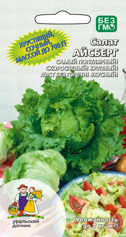 Салат АЙСБЕРГ  Самый популярный сорт-красавчик! Кочаны крупные, плотные, один к одному, вкус сладковатый с ярким ароматом свежести!