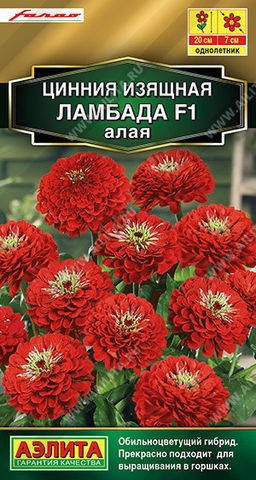 1908A Цинния Ламбада F1 алая 12шт