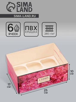 Цена за 5 шт. Коробка для 6 капкейков с прозрачной крышкой, «Сияй от счастья», 23×16×10 см