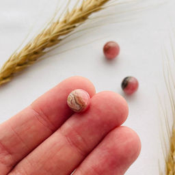 Бусины для украшений из Родохрозита (3 шт)