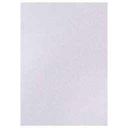 Набор 5 листов, ватман, чертежный, А0, 840×1189, 160 г/м²