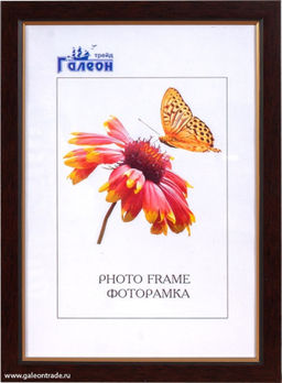 Фоторамка 30х40 / CH801-1 /с акрил. стеклом/уп10 ф