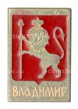 Значок Владимир