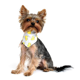 Бандана двусторонняя размер S (ош 15-25) 28то22