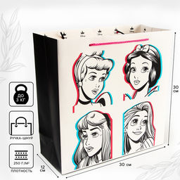 Пакет подарочный, 30×30×12 см, упаковка, Принцессы