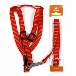 Комплект амуниции рельефный, поводок 120 х 1,5 см, ОГ 36-49 см, красно-жёлтый - Пижон фото 7