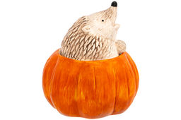 Банка для печенья 1,1 л 15,5*15,5*17,5 см Ёжики, с крышкой, керамика - Elan gallery фото 13