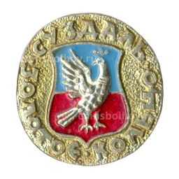 Значок Золотое кольцо - Суздаль