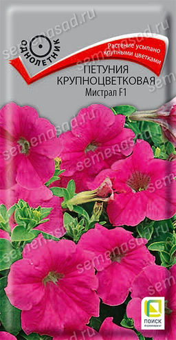 Петуния Мистрал F1 пикоти крупноцветковая, смесь сортов (2028)