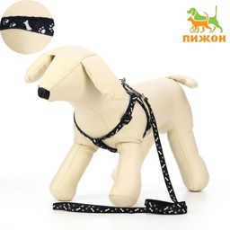 Комплект Классика, поводок 120 х 1 см, ОГ 28-47 см, чёрный