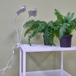 ULT-P35M-15W/SPLE/TM IP40 WHITE LEAF Светильник для растений светодиодный с таймером, на прищепке. Спектр для фотосинтеза. TM Uniel