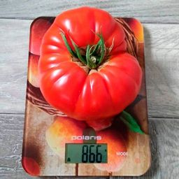 Томат САХАРНАЯ ГОЛОВА Салатный сорт Челябинской селекции! Плоды мясистые, безумно сладкие, тяжеловесные, массой до 1,5 кг! - Уральский дачник фото 4