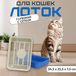 Лоток для кошек, 34.5×25.5×7.5 с, с сеткой, пластик, бежевый, синий