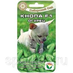 97f35561affff2cc61d71a7c7811b2a3dyu5s0fkyil0og1