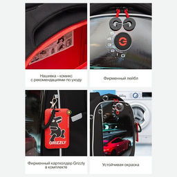 RAf-493-5 Рюкзак школьный - Grizzly фото 43