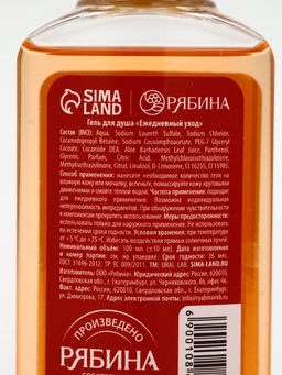 Подарочный набор новогодний: гель для душа 2 шт х 100 мл, мочалка для тела, аромат мандарин и тыква, URAL LAB