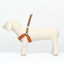 Шлейка супермягкая со светоотражающей прошивкой, размер М, обхват 32-63 см, оранжевая