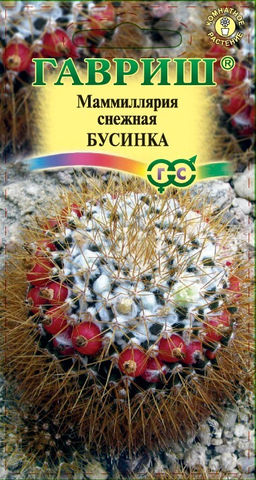 Маммиллярия (Кактус) Бусинка 2 шт (г)