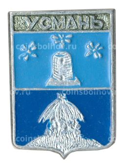 Значок Усмань