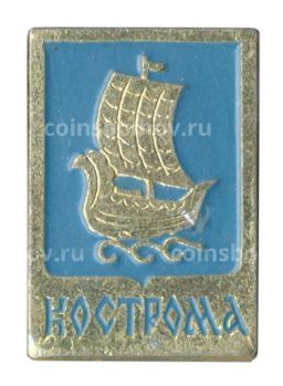 Значок Кострома