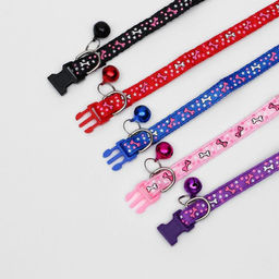 Ошейник двухслойный с фастексом Звездные косточки, 30 х 1 см, микс цветов - Пижон фото 4