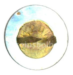 Значок ВДНХ СССР