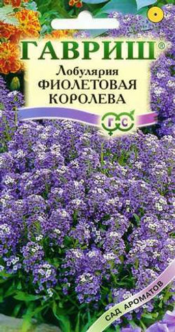 Лобулярия Фиолетовая королева 0,2г (г)