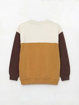 Bisiklet Yaka Renk Bloklu Erkek ?ocuk Sweatshirt