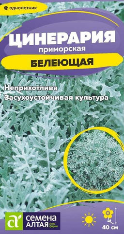 Цветы Цинерария Белеющая/Сем Алт/цп 0,05 гр. (2028 / 32597)