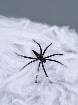 Цена за 2 шт. Прикол «Паутина и 2 паука»