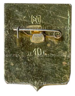 Значок Острогожск