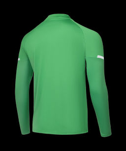 Джемпер тренировочный JOGEL CAMP 2 Training Top, зеленый, детский  фото 3
