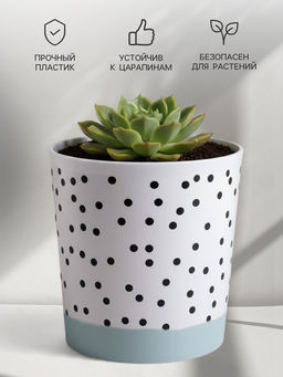 Цена за 2 шт. Кашпо для цветов «Чёрно - белый стиль», 1.6 л, d=14 см, h=14 см, пластиковое