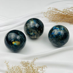 Шар из Лабрадора