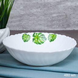 Тарелка глубокая суповая 480 мл 155 мм тарелка глубокая / TW-60XN (7242) /уп 6/72/ Монстера - Галеонтрейд фото 2