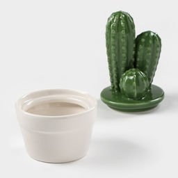 Банка для хранения сыпучих продуктов Доляна «Кактус», 170 мл, 8×8×15 см, керамическая