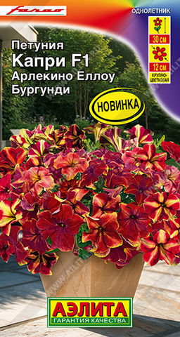 Петуния Капри F1 арлекино еллоу бургунди