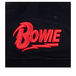 Бейсболка AMERICAN NEEDLE арт. 20001A-BOWI Bowie Ballpark (черный) фото 2